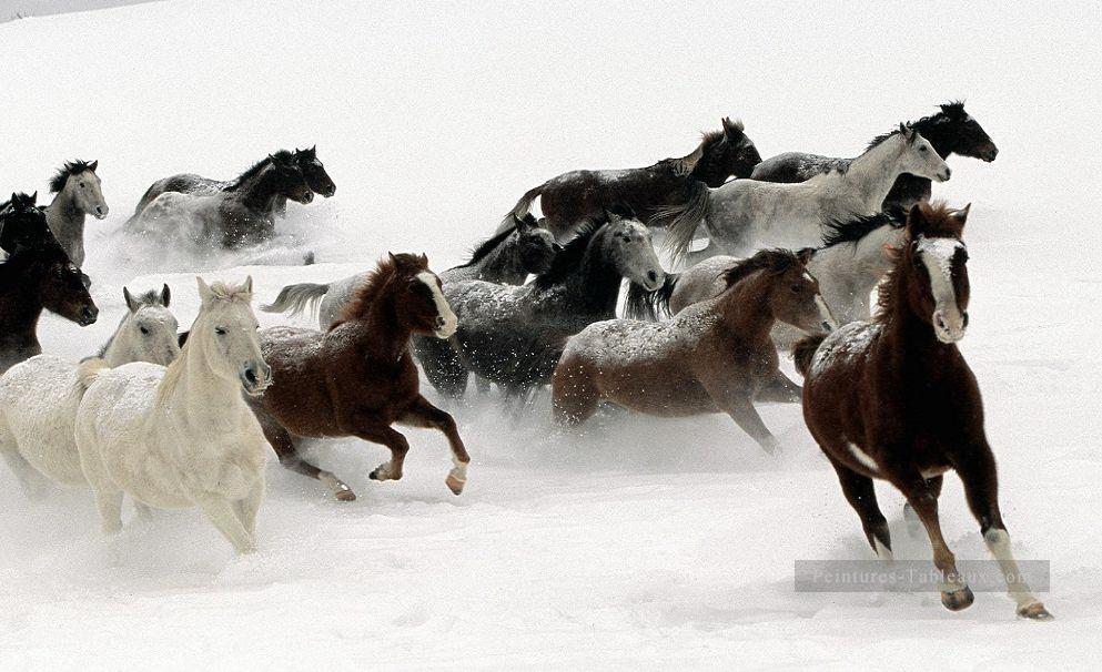 chevaux de course sur la neige Peintures à l'huile